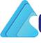 CHAPMAN EXOTIC TECHNICIANS ENGINEERING LTD Logo